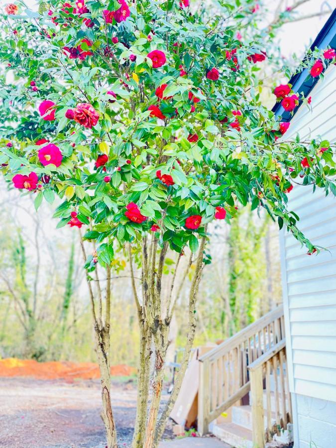 Bountyland Cottage - Lake Keowee - Mountains - Clemson University Seneca Exterior foto